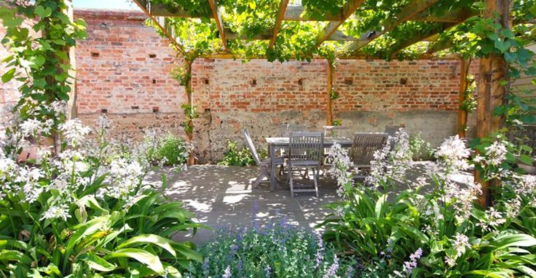The Forgotten Role of Shadows in Garden Design—and How to Use Them