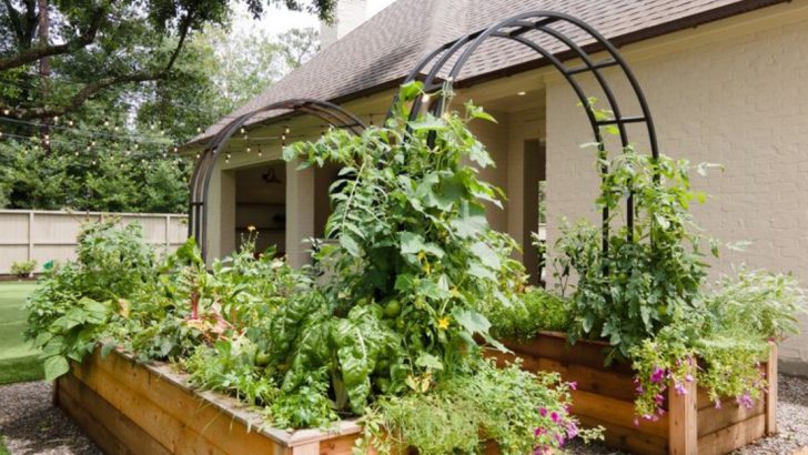The Garden Bed That Waters Itself (No Hose, No Irrigation, Just Gravity)
