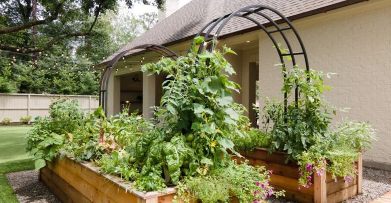 The Garden Bed That Waters Itself (No Hose, No Irrigation, Just Gravity)