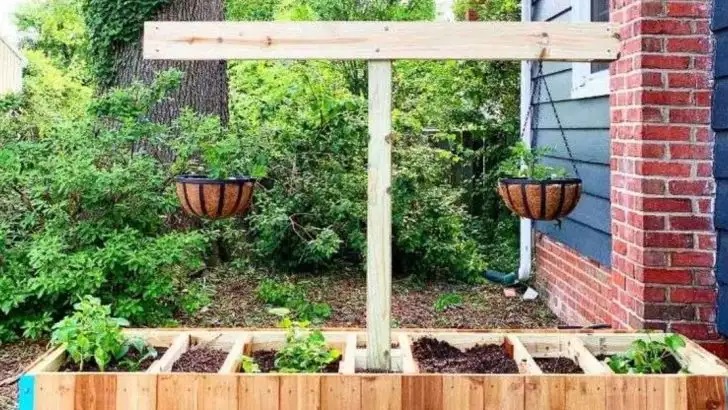 The Garden That Adjusts Itself: My Experiment With Moving Beds
