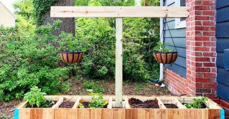 The Garden That Adjusts Itself: My Experiment With Moving Beds
