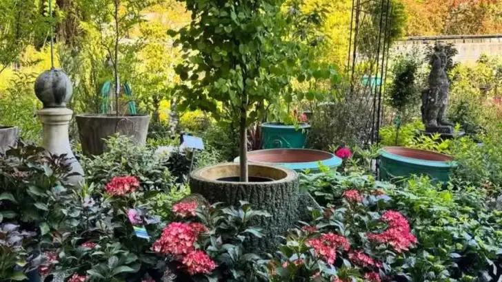 The Garden Within: How Plants Respond to Your Stress and Presence