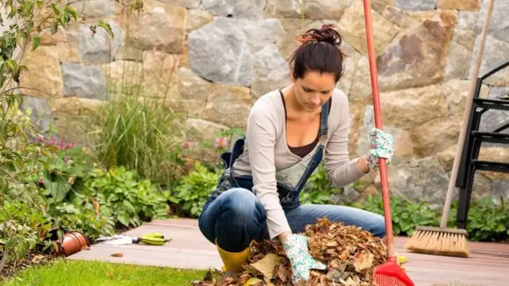 The Only Garden Calendar Busy Homeowners Need—22 Tasks That Actually Matter