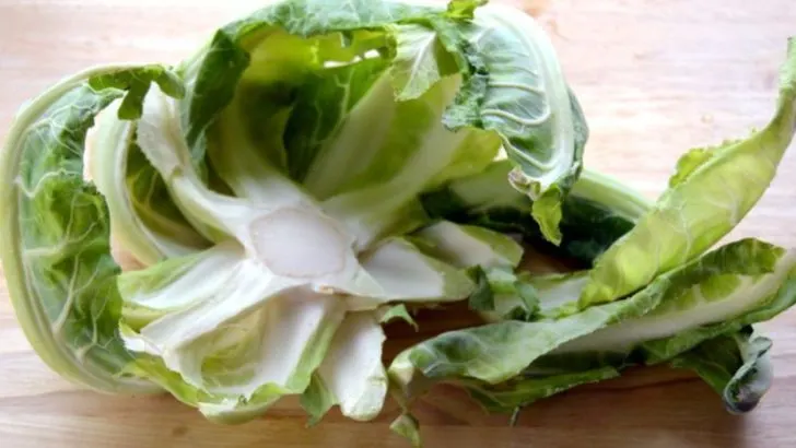 Ugly’ Vegetable Parts You’re Throwing Away That Actually Contain More Nutrients Than the Parts You Eat