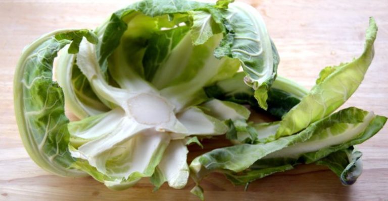 Ugly’ Vegetable Parts You’re Throwing Away That Actually Contain More Nutrients Than the Parts You Eat