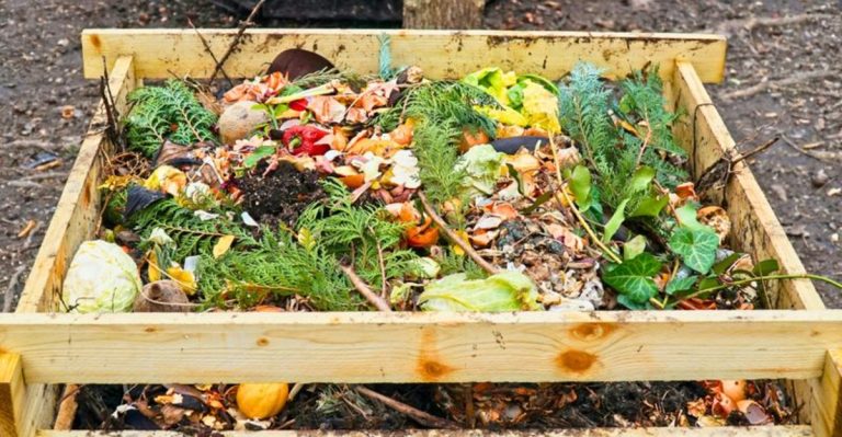 Why Experienced Gardeners Have Stopped Buying Compost (And Make Better Stuff Themselves)