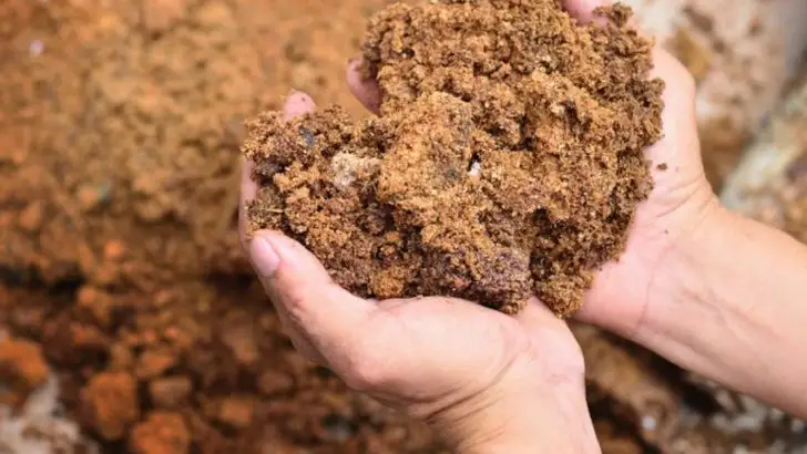 Why I Planted Nothing for 90 Days—And Got the Healthiest Soil Ever
