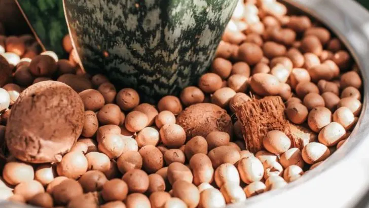 Why Pro Gardeners Don’t Use Sand for Drainage—And What They Do Instead