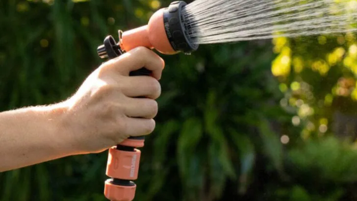 Why Your Garden Hose Might Be Killing Your Plants (And What to Use Instead)