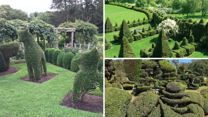 You Won’t Believe These Are Real: America’s Best Public Topiary Gardens