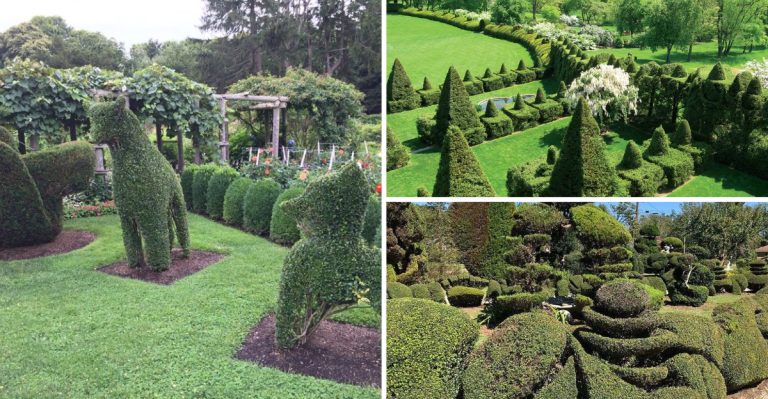 You Won’t Believe These Are Real: America’s Best Public Topiary Gardens