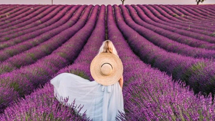 10 Garden Saviors and 5 Pest-Stopping Crops for June