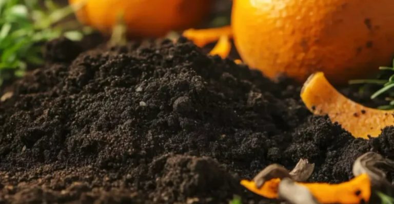 10 Proven Repellents and 4 Mistakes That Invite Garden Pests