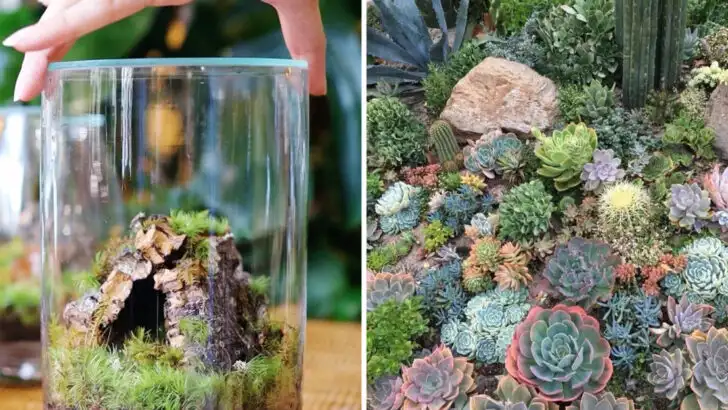 10 Plant Trends You’ll Regret (And 10 That Are Worth It Long-Term)