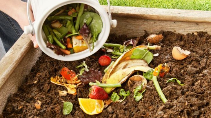 10 Things You’re Probably Doing Wrong With Your Compost