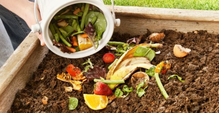 10 Things You’re Probably Doing Wrong With Your Compost