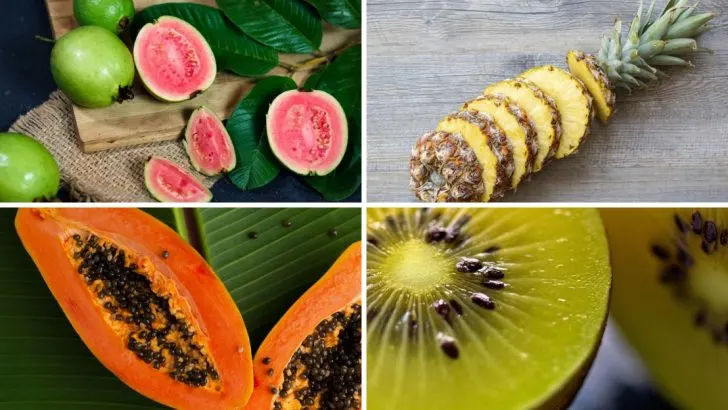10 Tropical Fruits That Support Teeth Health and Fresh Breath