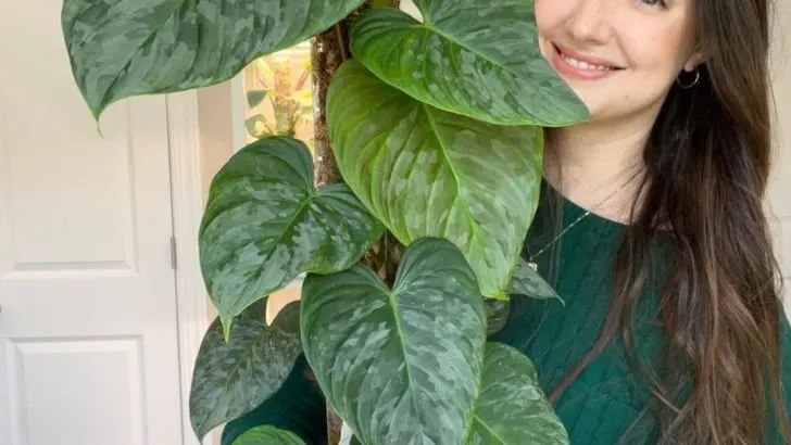 10 Tropical Plants That Bring Vacation Vibes to Your Home