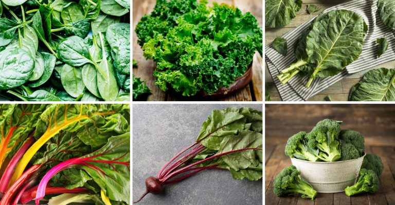 10 Vegetables Rich in Iron for More Energy and Better Blood Flow