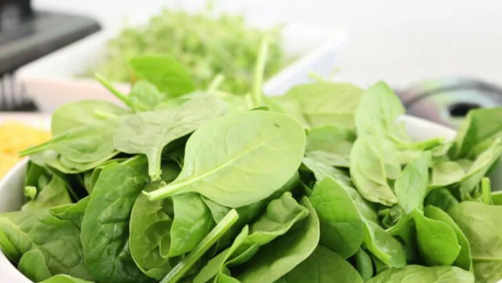 10 Vegetables That Attract Pests Like Magnets