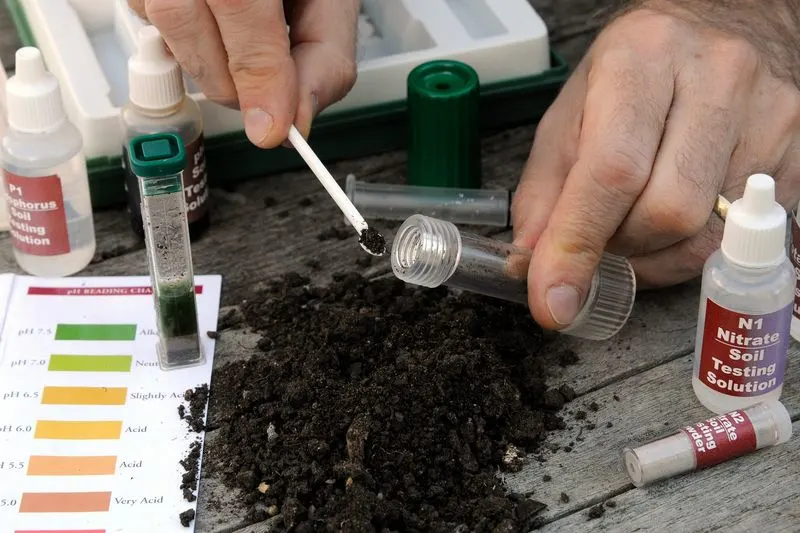 Understanding Soil Composition