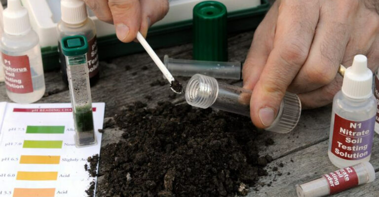 11 Fertilizing Tips and 6 Errors That Sabotage Growth