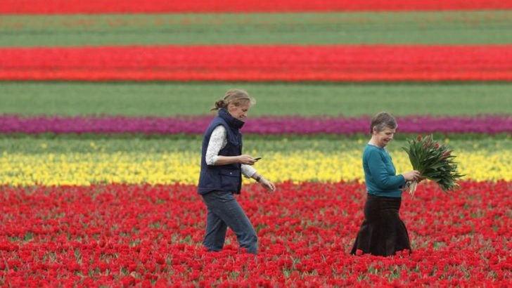 12 Blooms That Make Your Garden Feel Like It’s Breathing