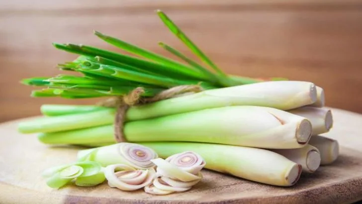 12 Herbs That Love the Heat and 4 Ways to Use Them in Summer Dishes