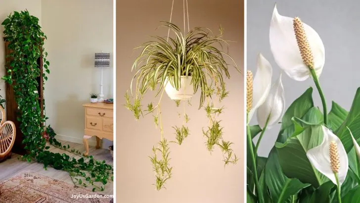 12 Aesthetic Plants That Outgrow Their Pots in Weeks