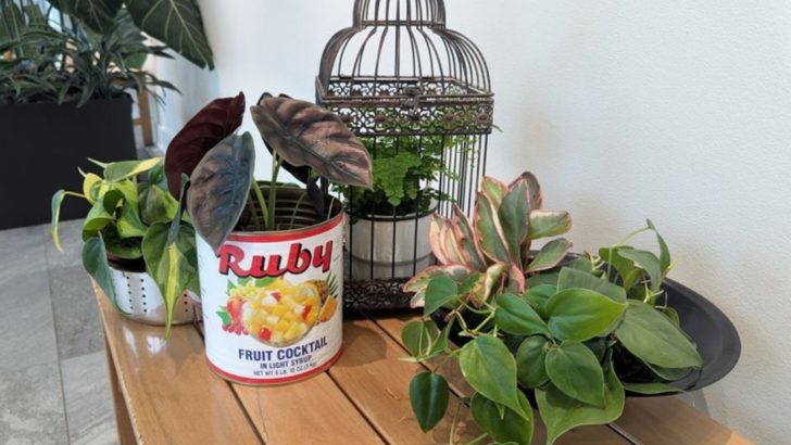 12 Garden Trends That Look Fancy But Cost Under $10