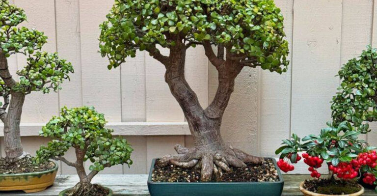 12 Popular Houseplants You Shouldn’t Buy (And 8 Better Alternatives)