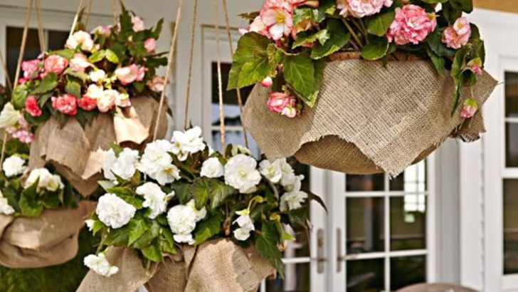 12 Tiny Garden Ideas That Make a Big Impact