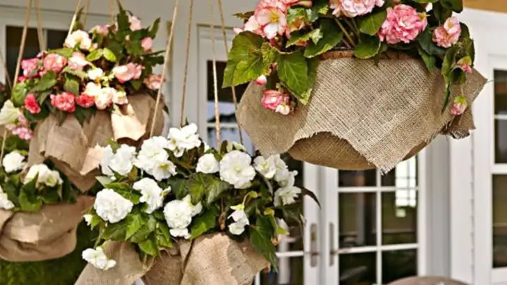 12 Tiny Garden Ideas That Make a Big Impact