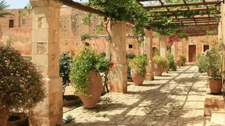 13 Stunning Designs for Sun & Shade using June Starters