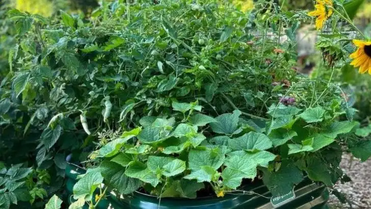 13 Layout Mistakes That Make Your Garden Look Smaller Than It Is