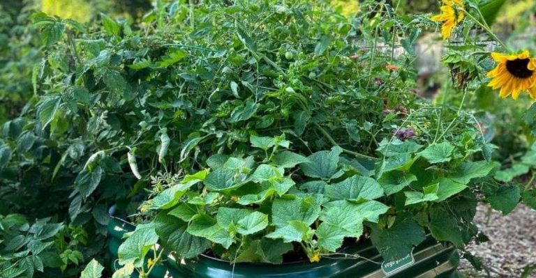 13 Layout Mistakes That Make Your Garden Look Smaller Than It Is