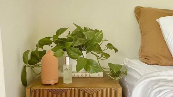 15 Unexpected Places You Can Grow Edible Plants (Yes, Even Indoors)