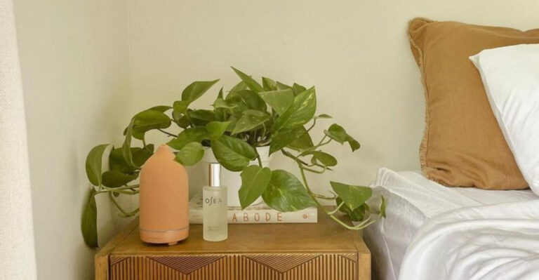 15 Unexpected Places You Can Grow Edible Plants (Yes, Even Indoors)