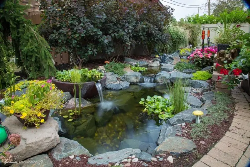 Adding a Water Feature