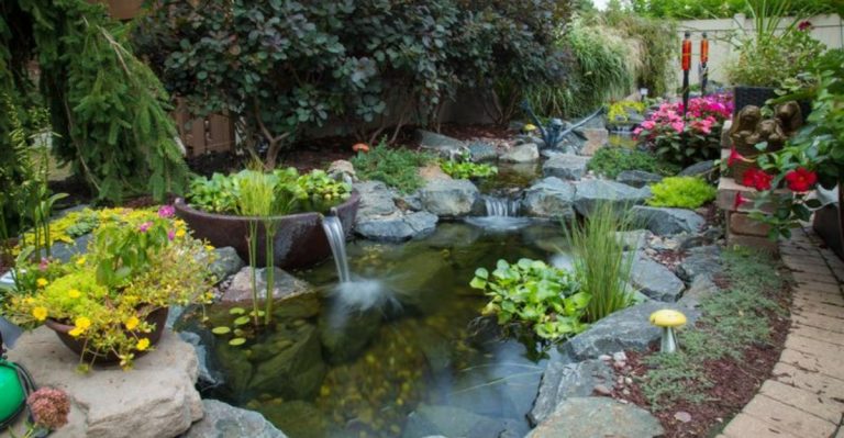 14 Landscaping Projects That Add Home Value (and 7 That Just Waste Money)
