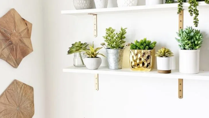 14 Indoor Plant Displays That Work in Minimalist Interiors