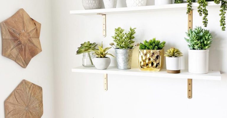 14 Indoor Plant Displays That Work in Minimalist Interiors