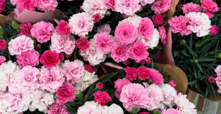 14 Popular Flowers That Are Overrated—and 6 Better Ones You Should Try