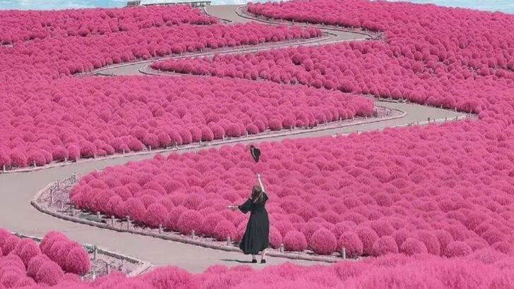 14 Summer Trips to Take If You Plan Vacations Around What’s in Bloom