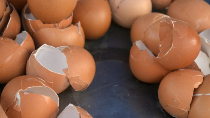 14 Things You Thought Were Bad for Plants (But Actually Help Them Grow)
