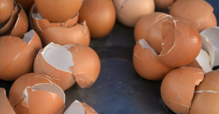 14 Things You Thought Were Bad for Plants (But Actually Help Them Grow)
