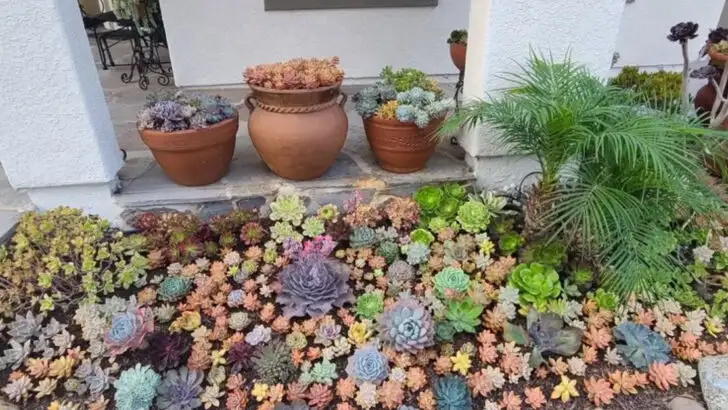 15 Backyard Upgrades That Start with Just One Plant (And Change Everything)