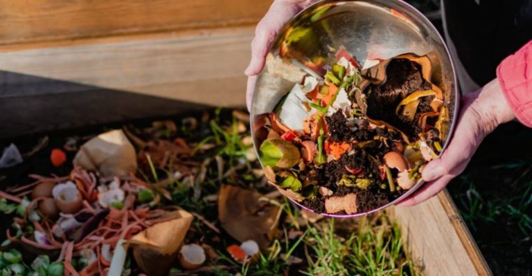 15 Composting Tricks That Make Your Bin Work Twice as Fast