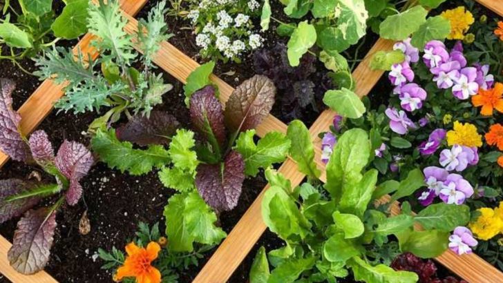 15 Creative Ways to Keep Your Garden Thriving During Hot July Days