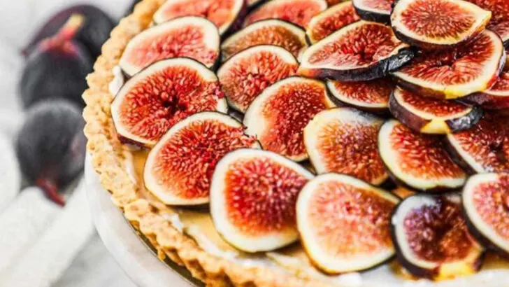 15 Delicious Ways to Use Fresh Figs This Summer